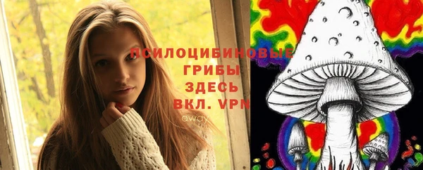 прущие крисы Магас