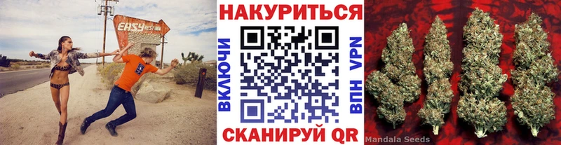 Купить где  Красноуральск  МАРИХУАНА VHQ 